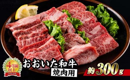 おおいた和牛 焼肉 (300g) 国産 豊後牛 BBQ バーベキュー 惣菜 やきにく おかず 百年の恵み 大分県 佐伯市[BD164][西日本畜産 (株)]