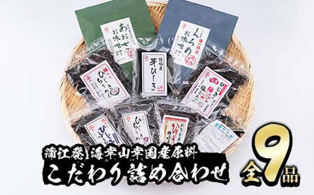  佐伯市産 国産海藻詰め合わせ (9品) ひじき 海藻 ふりかけ ちりめん こんぶ あおさ 味噌汁 サラダ ごはん おにぎり 常温 国産 大分県 佐伯市【DE03】【安部水産 (株)】