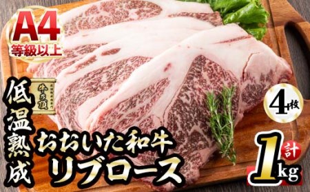 a u[XXe[L (v1kgEu[XXe[L250×4+Xe[L\[X20g×4) Y   ~ ቷn Xe[L A4 a uh BBQ Ⓚ 啪 syDH70zy