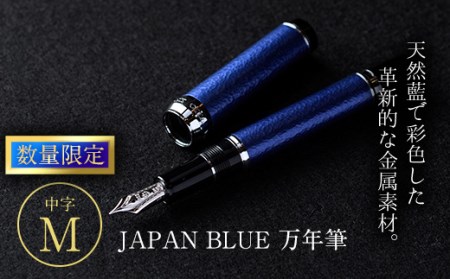 JAPAN BLUE 万年筆 (中字・M) 文房具 文具 ペン 筆記用具 贈り物 大分県 佐伯市 [EQ011][Oita Made (株)]