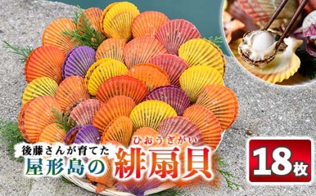 緋扇貝 (計18枚) 海鮮 ヒオウギ貝 BBQ バーベキュー 炭火焼 酒蒸し ご当地 国産 大分県 佐伯市産  屋形島で後藤さんが育てた緋扇貝 大分県 佐伯市【AX61】【後藤緋扇養殖販売】