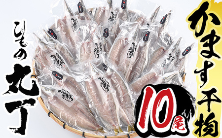 ギフト用品質!九州産ひものかます開き(10尾) 干物 かます カマス 開き 魚 海鮮 冷凍 ひもの 小分け 惣菜 おかず セット ギフト 贈り物 大分県 佐伯市[DH182][ネクサ]