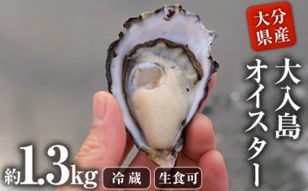 真ガキ 大入島オイスター (約1.3kg) 牡蠣 カキ 貝 海鮮 魚介類 冷蔵 生食可 シングルシード 養殖 大分県 佐伯市【ED08】【(合)新栄丸】