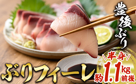 �L��Ԃ�t�B�[�� (�v��1.1kg) �� �^��p�b�N �h�g ������ �h���g �Ƃ�Ă� �u������� ����Ԃ���� �啪�� �����s�yGD002�z�y���C�V�[�v�� (��)�z