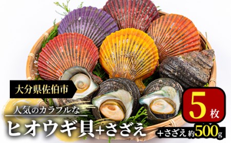 ヒオウギ貝(5枚)とサザエ(約500g) 魚介 貝 ヒオウギ貝 ひおうぎ貝 サザエ さざえ 栄螺 酒蒸し 網焼き バター焼き バーベキュー 獲れたて 冷蔵 海の直売所 大分県 佐伯市[AS121][海べ (株)]