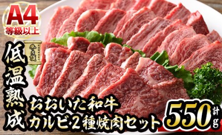 a Jr 2ēZbg (v550gEԐgJr250g+Jr300g) Y   ~ ቷn A4 a uh ē BBQ Ⓚ 啪 syDH211zy()lNTz