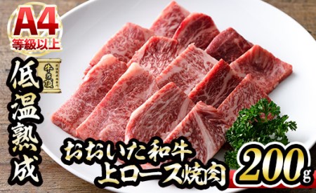 a ネ[X ē (200g) Y   ~ ቷn A4 a [X uh BBQ Ⓚ 啪 syDH222zy()lNTz