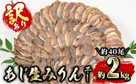 ＜訳あり・業務用＞あじの生みりん干し (計約2kg・約40尾) 干物 ひもの 鯵 アジ お酒のおつまみ 大分県 佐伯市 【GH003】【増野善雄商店】