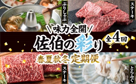 ＜先行予約受付中！2026年1月中旬より配送開始予定＞＜定期便・全4回＞味力全開！佐伯の彩り 春夏秋冬 定期便(該当月にお届け) 期間限定 鰤 ブリ ステーキ モモ とらふぐ 刺身 ふぐ 鍋 セット【BR115】【佐伯市ふるさと納税事業者協議会】