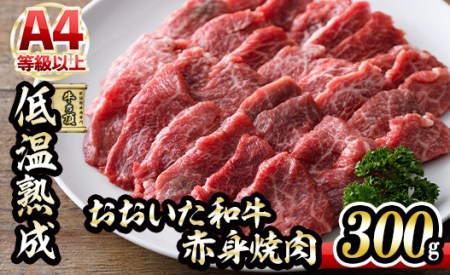 a Ԑg ē (300g) Y   ~ ቷn   A4 a uh BBQ Ⓚ 啪 syDH240zy()lNTz
