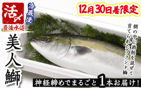 12/30聄_o߂ł܂邲1{͂Il (1{E5kg) lu l Ԃ u  _o uh lꂽ N ܂邲 ① C̒ 啪 szs