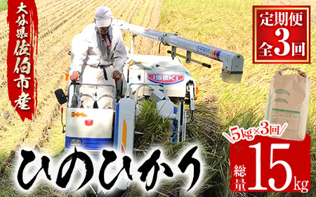 ߘa7NYVāցE3 (A)啪Ђ̂Ђ (15kgE5kg×3)  3 Ђ̂Ђ qmqJ   V 啪YyAJ81zyP[LgكNAJEh|l