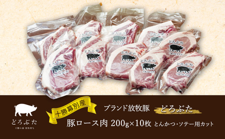 十勝の森放牧豚　どろぶたのロース肉１０個セット（とんかつ用）