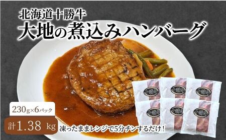 北海道 十勝牛 大地の煮込みハンバーグ230g×6パック 野菜入り お手軽レンチン[ セット 牛100% 国産牛 牛肉 ハンバーグ 惣菜 小分け 冷凍 牛肉100% 大きい レンジ 簡単 国産 北海道 十勝 幕別 ふるさと納税 送料無料 ]