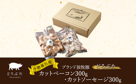 \ʎYuhq؁mǂԂnJbgx[R300gEJbg\[Z[W300g@kC Gp\ q