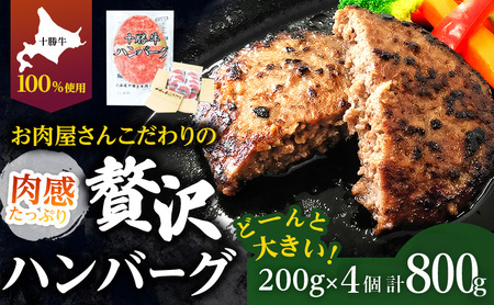 kC \ 育˃no[O 200g×4y Zbg 100% Y  no[O y  Ⓚ 100% 傫 Y kC \  ӂ邳Ɣ[  z