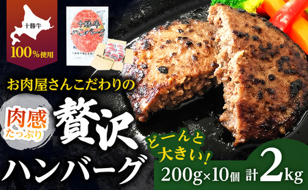 kC \ 育˃no[O 200g×10y Zbg 100% Y  no[O y  Ⓚ 100% 傫 Y kC \  ӂ邳Ɣ[  z