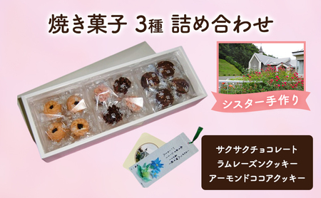 十勝カルメル会シスターが真心こめて作った 焼き菓子 3種 詰め合わせ(サクサク・ラムレーズンクッキー・アーモンドココアクッキー)[ ギフト プチギフト お菓子 お返し 北海道 十勝 幕別 クッキー ]