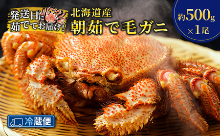 [冷蔵便]茹でたて直送!北海道産 朝茹で毛ガニ 約500g×1尾[ かに カニ 蟹 幕別町 北海道 毛蟹 毛ガニ 海鮮 魚介 海の幸 海産物 冷蔵 ]
