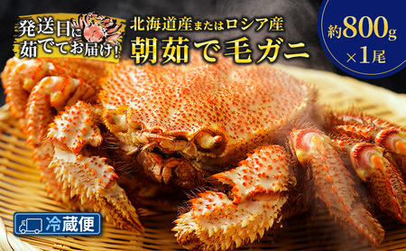 m①ցn䥂łĒIkCY ܂ VAY 䥂ŖуKj 800g×1y  Jj I ʒ kC ъI уKj CN  C̍K CY ① z