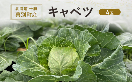 北海道 十勝 幕別町産 キャベツ 4玉 [ 野菜 サラダ 産地直送 竹内農場 きゃべつ 葉野菜 ロールキャベツ 千切り ]
