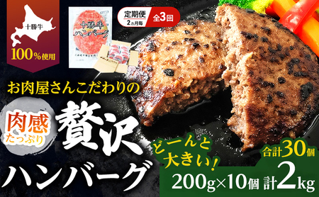 [lCno[O̒] S3/2 v30 kC \ 育˃no[O 200g×10y Zbg 100% Y  no[O peB pe y  Ⓚ 傫 Y kC \