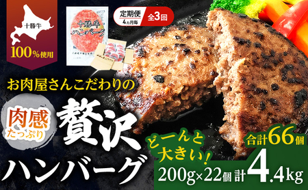 [lCno[O̒] S3/4 v66 kC \ 育˃no[O 200g×22y Zbg 100% Y  no[O peB pe y  Ⓚ 傫 Y kC \