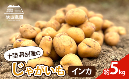 北海道 十勝 幕別産 じゃがいも インカ 約5kg[横山農園] 野菜 根菜 フライドポテト ポテトチップス 変色しにくい 煮崩れしにくい 黄金色 北海道のジャガイモ