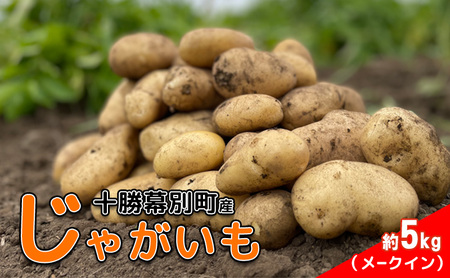 北海道 十勝 幕別産 じゃがいも メークイン 約5kg [横山農園] 野菜 根菜 食材 しっとり 崩れにくい 煮込み料理 炒め物 肉じゃが カレー シチュー 北海道のジャガイモ