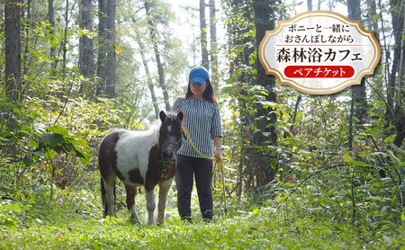 [北海道 十勝 幕別町 ]ポニーと一緒におさんぽしながら森林浴カフェ[ ペア チケット ][ 牧場 見学 ツアー 体験型 旅 旅行 イベント 夏休み 自由研究 移住 自然 放牧 ガイド 北海道 十勝 幕別 ]
