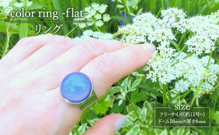 color ring -flat- リング 指輪 アクセサリー 1個 [シンプル グラデーション スカイブルー グリーン イエロー パープル ピンク 可愛い ハンドメイド 手作り 職人 上品 大人な雰囲気 ギフト プレゼント ラッピング 結婚式 普段使い]