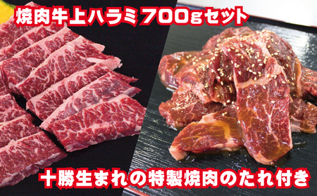 牛上ハラミ(サガリ)700g タレ付き焼肉セット[ 牛肉 豚肉 焼き肉 惣菜 冷凍 北海道 十勝 幕別 ふるさと納税 送料無料 ]