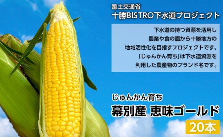 とうもろこし 恵味ゴールド 20本「じゅんかん育ち」【十勝BISTRO下水道プロジェクト】北海道 十勝 幕別町 野菜 