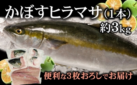 [期間限定]爽やかな味わい!「うすき産かぼすヒラマサ」約3kg(1本)