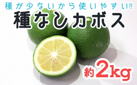 [先行予約]種が少ないから使いやすい!佐々木さんの「種無し(小種)カボス」約2kg