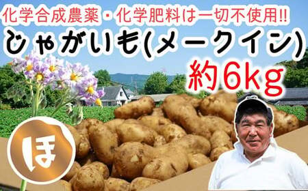稲垣農園の新じゃがいも(メークイン)約6kg