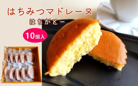 [お父さんのはちみつマドレーヌ]はちがとー 10個入 焼き菓子 スイーツ ギフト 贈答