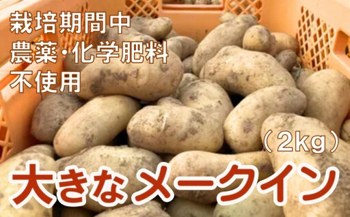 大きなメークイン(2kg)[栽培期間中農薬化学肥料不使用]