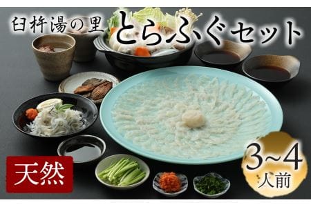 最高級の天然物!臼杵湯の里とらふぐセット(3〜4人前)