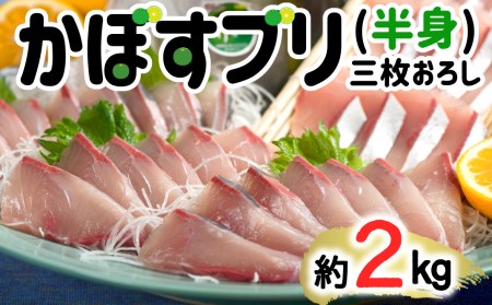 [先行予約]さっぱり美味い「うすき産(養殖)かぼすブリ」 約2kg弱(半身)