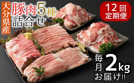 y12ցF2025N10zJnzŕ֗啪Y 5lߍ킹i2kg×12j