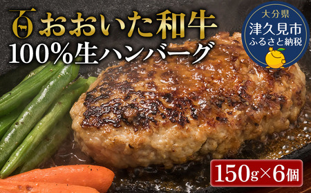 おおいた和牛100%生ハンバーグ 150g×6個 牛肉 豊後牛 ハンバーグ おかず 惣菜 冷凍 大分県産 九州産 津久見市 国産 送料無料