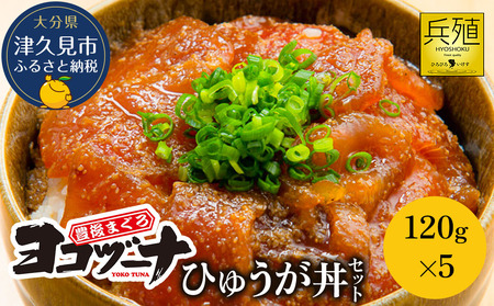 豊後まぐろ ヨコヅーナ ひゅうが丼セット 120g×5|まぐろ まぐろ まぐろ まぐろ まぐろ