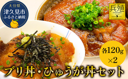 ブリ丼・ひゅうが丼セット 各120g×2|まぐろ まぐろ まぐろ まぐろ まぐろ