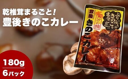豊後きのこカレー×6 |津久見市 カレー