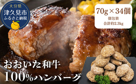 a100%@no[O@70g×34@v2.3kg@|@Ëvs