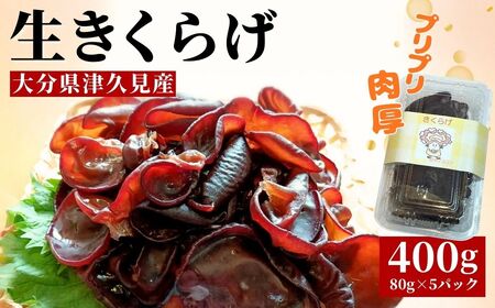 津久見産の肉厚 生きくらげ 80g×5パック(400g)| 木耳