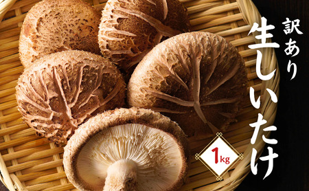 y󂠂z 啪Y  ËvňĂ 1s