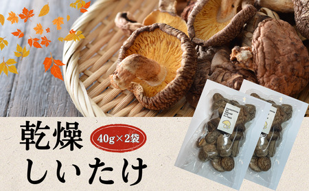 啪Y  ËvňĂ 40g×2