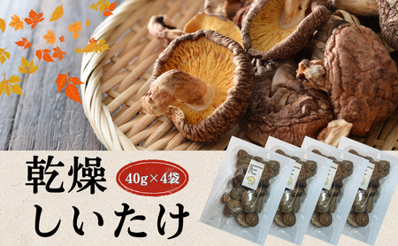 啪Y  ËvňĂ 40g×4